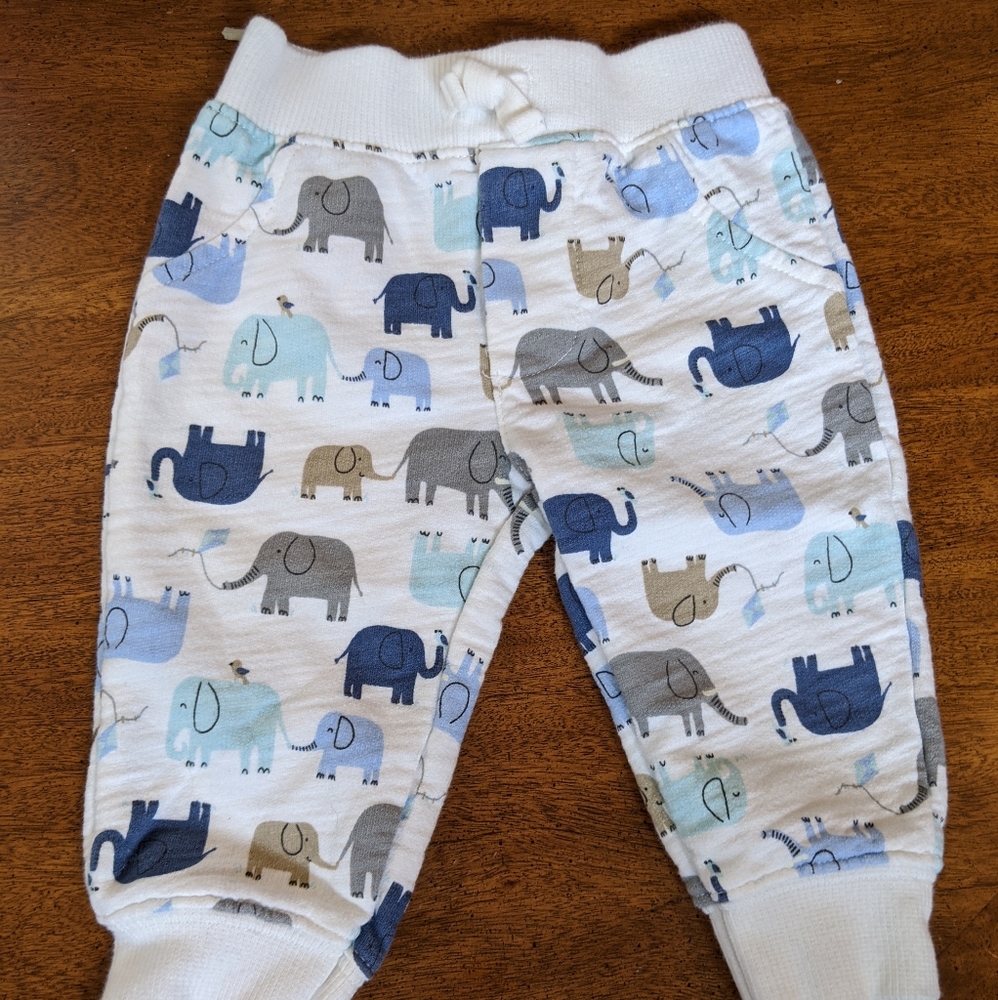 Elephant print pants